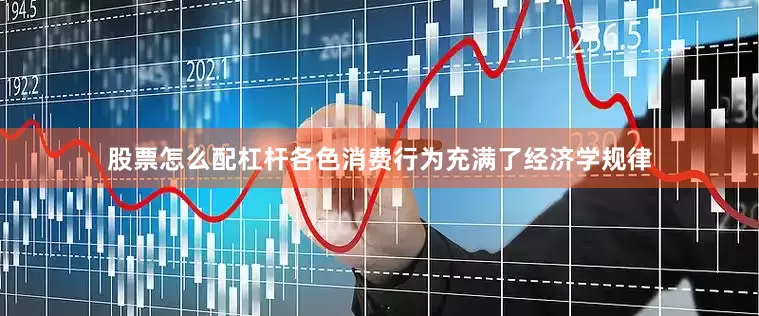 股票怎么配杠杆各色消费行为充满了经济学规律