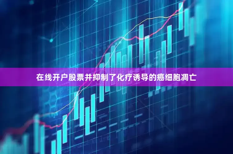 在线开户股票并抑制了化疗诱导的癌细胞凋亡