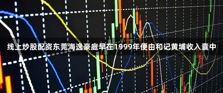 线上炒股配资东莞海逸豪庭早在1999年便由和记黄埔收入囊中
